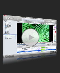 SWF FLV Player Mac