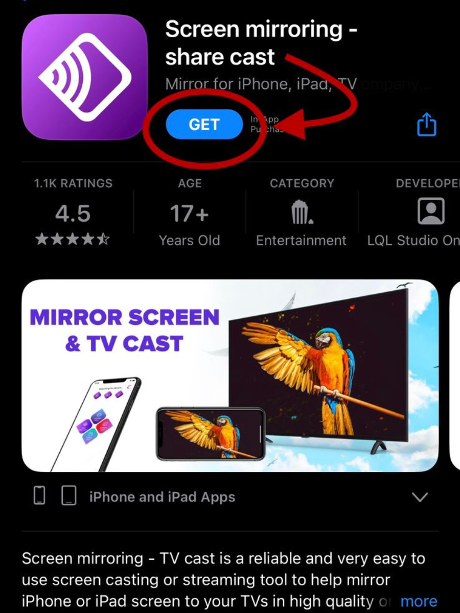 Install and open the Screen mirroring - share cast app