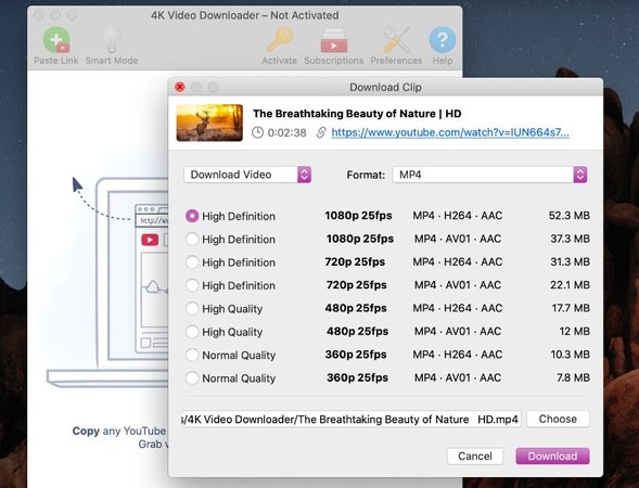 youtube downloader manager for mac