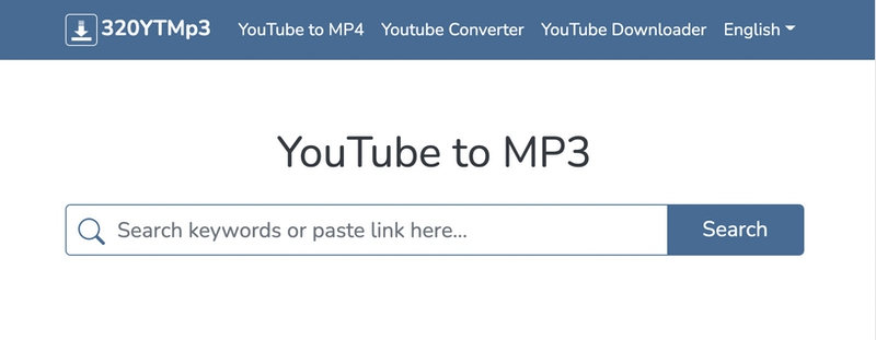 Paste the links to the file you want to download and 320YTMp3 will do everything himself.