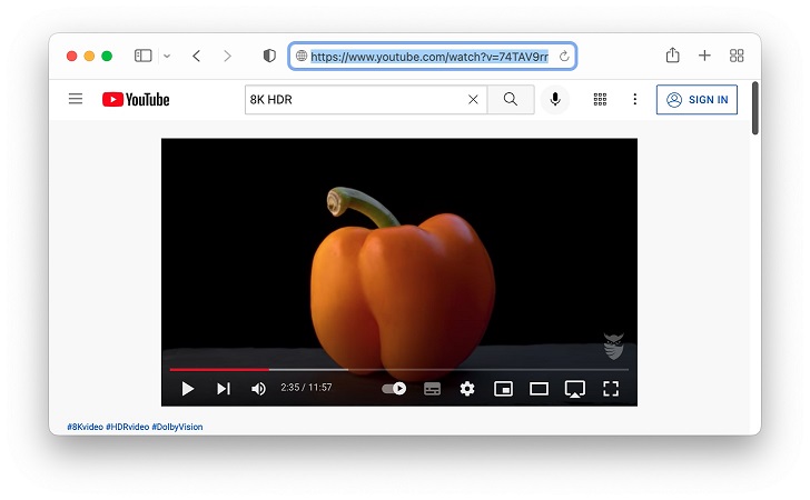  Obtenez des vidéos YT avec le meilleur téléchargeur YouTube gratuit pour Mac.
