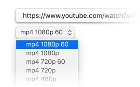 Cómo descargar vídeos de YouTube en Macbook o Mac 