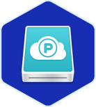pCloud Icon