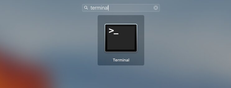  Type Terminal and press Enter