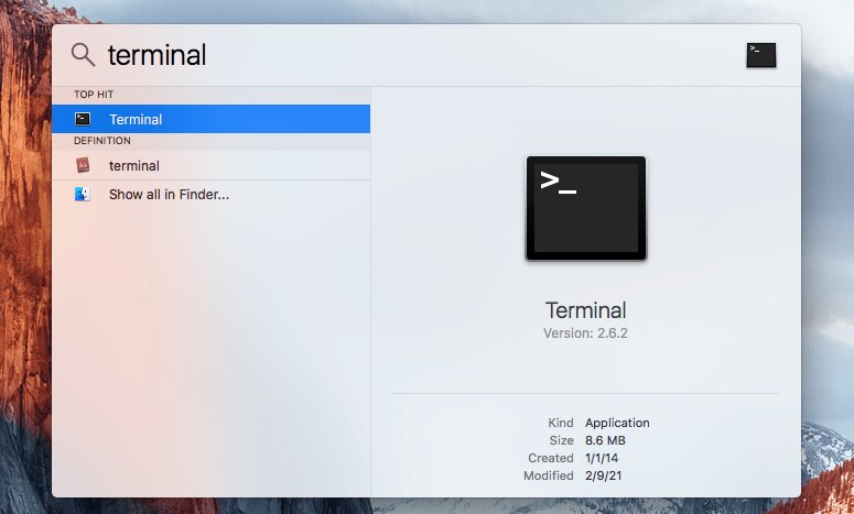  Find Terminal in the search bar