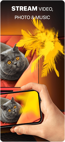 screen 2 xs