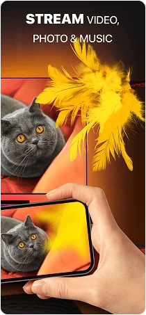 screen 2 xs
