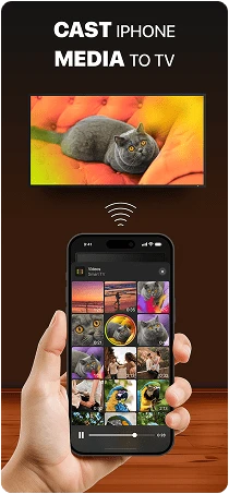 screen 6 xs