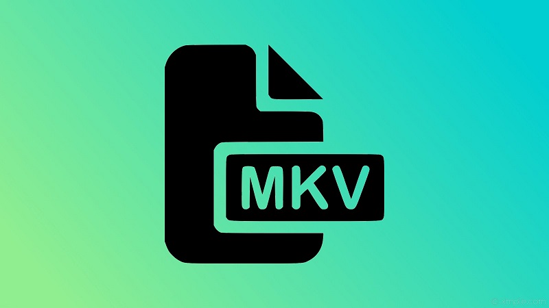 Que sont les fichiers MKV