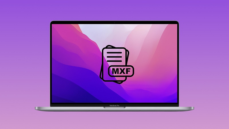 What is MXF file