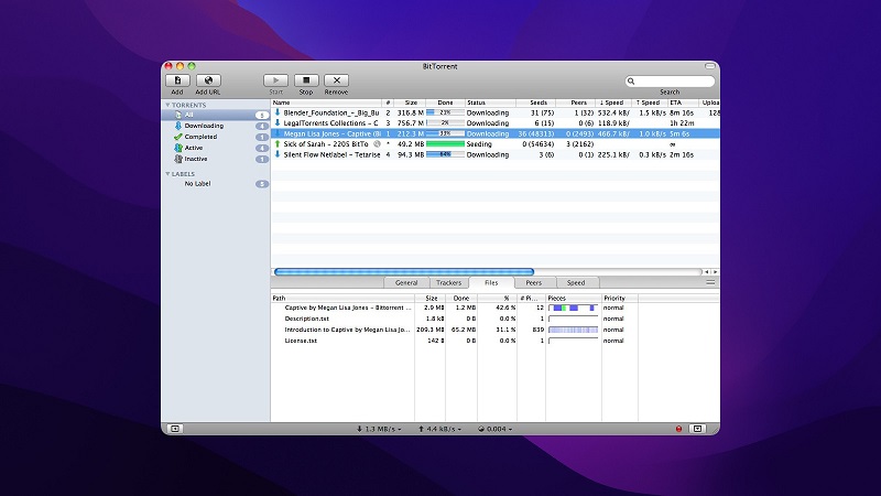 BitTorrent is one of the oldest and most popular torrent clients.