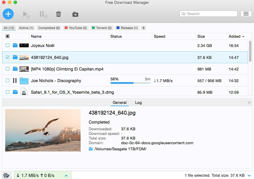 download manager for chrome on mac
