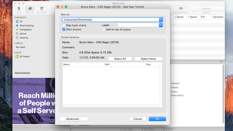 BitTorrent 是具有令人印象深刻的自定義功能的 Mac 種子下載器。