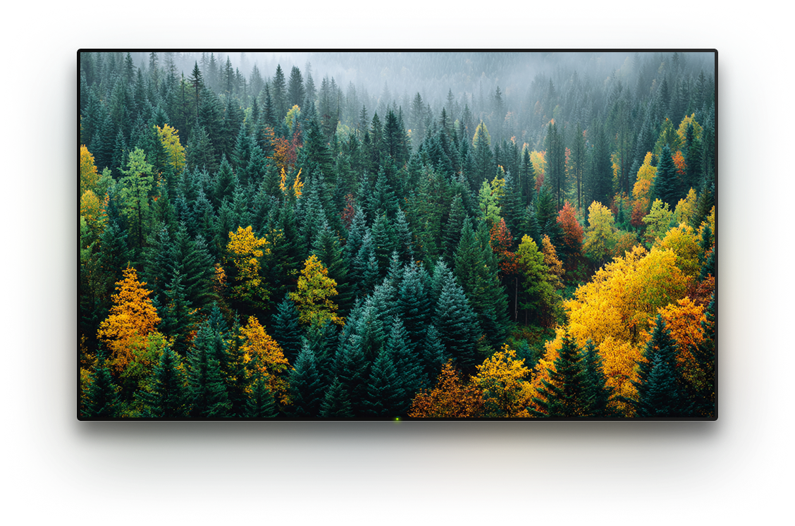 TV with a background image