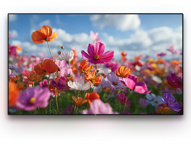TV with a background image