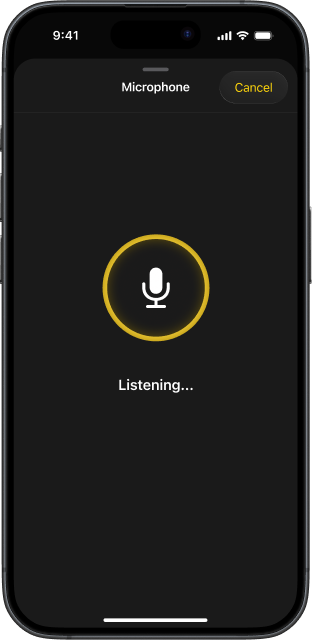 TVRem interface with microphone option