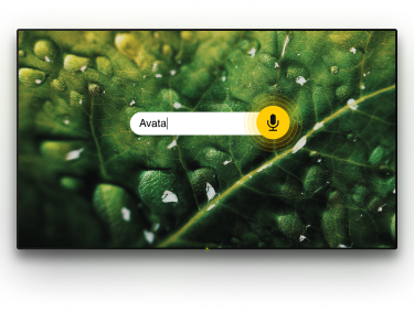 TV with microphone option
