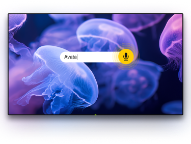 TV with microphone option