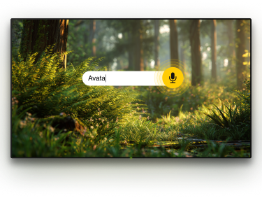 TV with microphone option