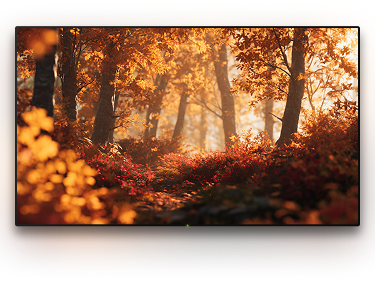 TV with a background image