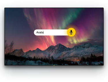 TV with microphone option