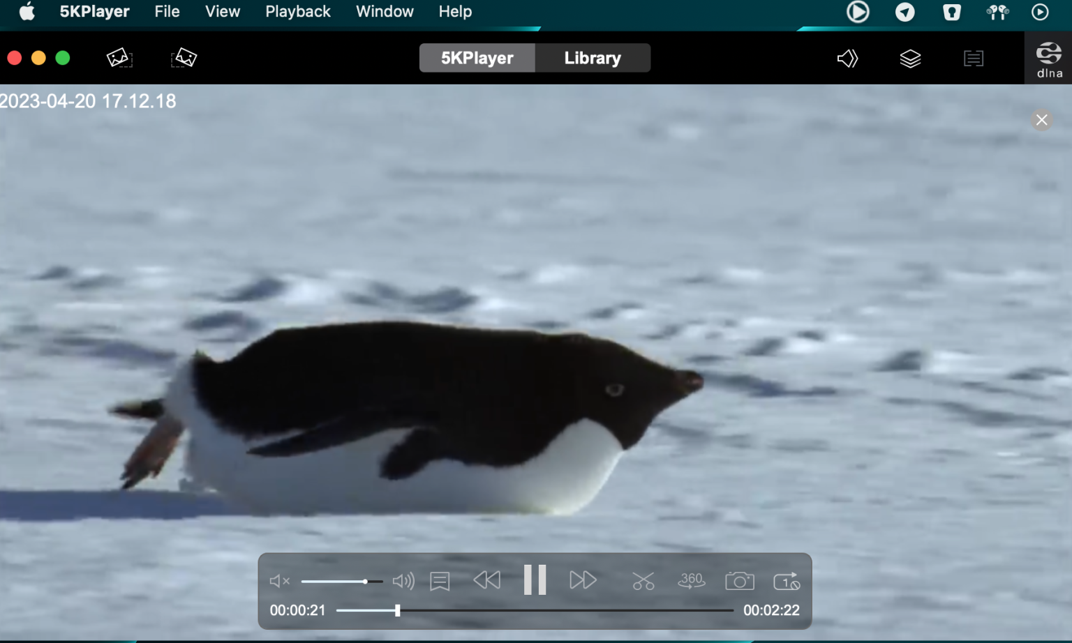 14 Best MP4 Players for Mac and Windows 11/10/8/7 in 2024