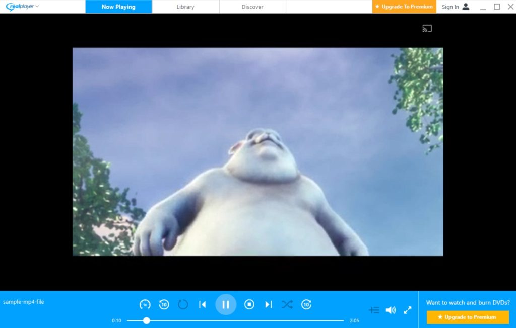 Video in the RealPlayer
