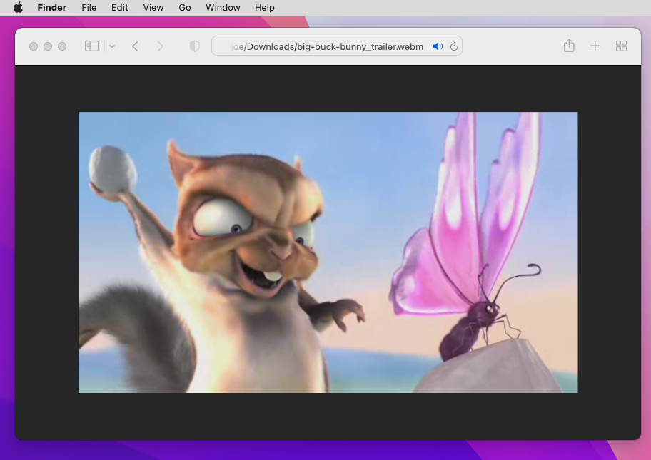 WebM is running on the Safari browser