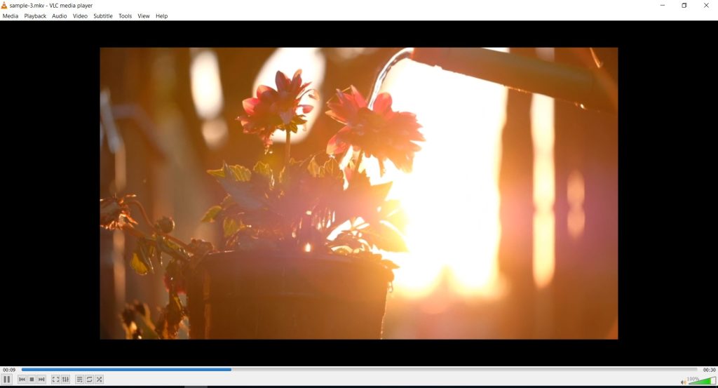 VLC Media Player on Windows