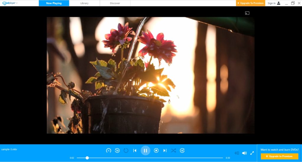 RealPlayer interface