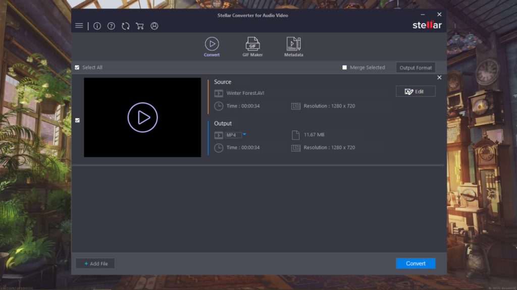 Stellar Video Converter