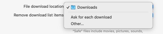 The File Download Location Section in Safari browser