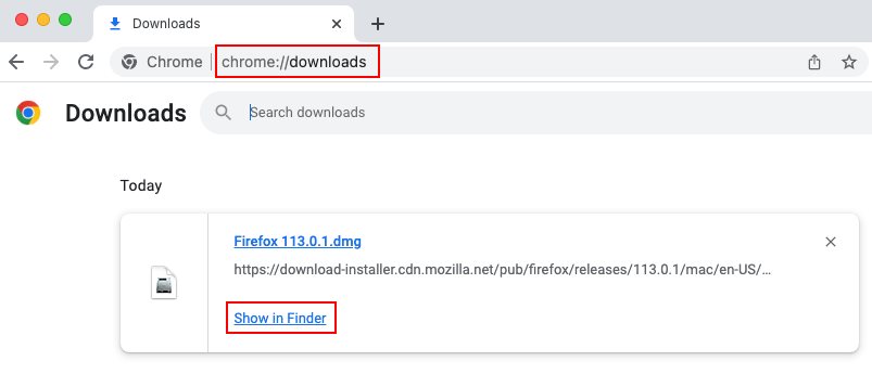 Chrome Downloads