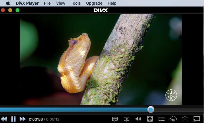 DivX es una marca de códecs de vídeo desarrollada por DivX.