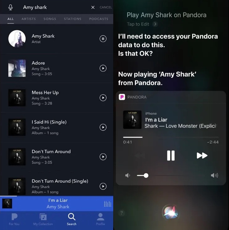Playing music on Chromecast with Pandora