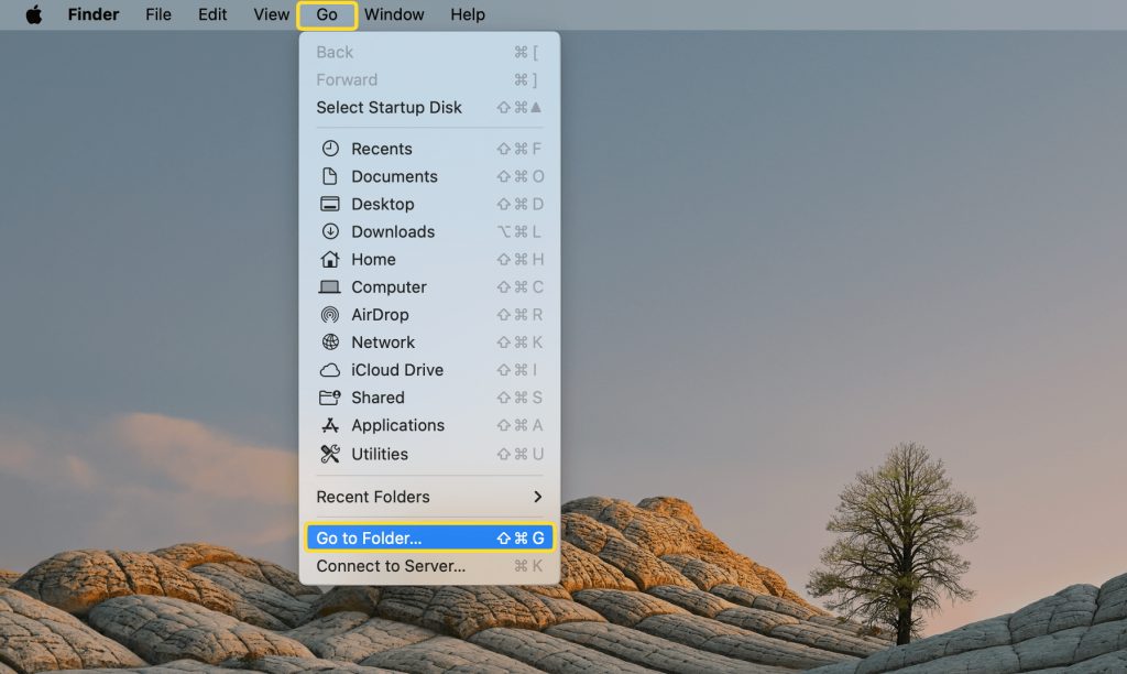 Go to Folder from the menu bar