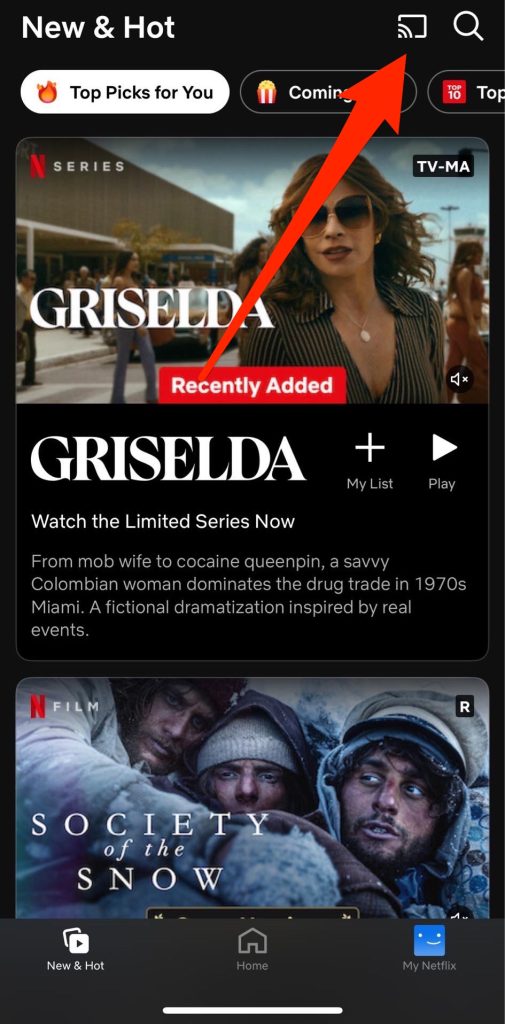 Tap on the Cast button in Netflix