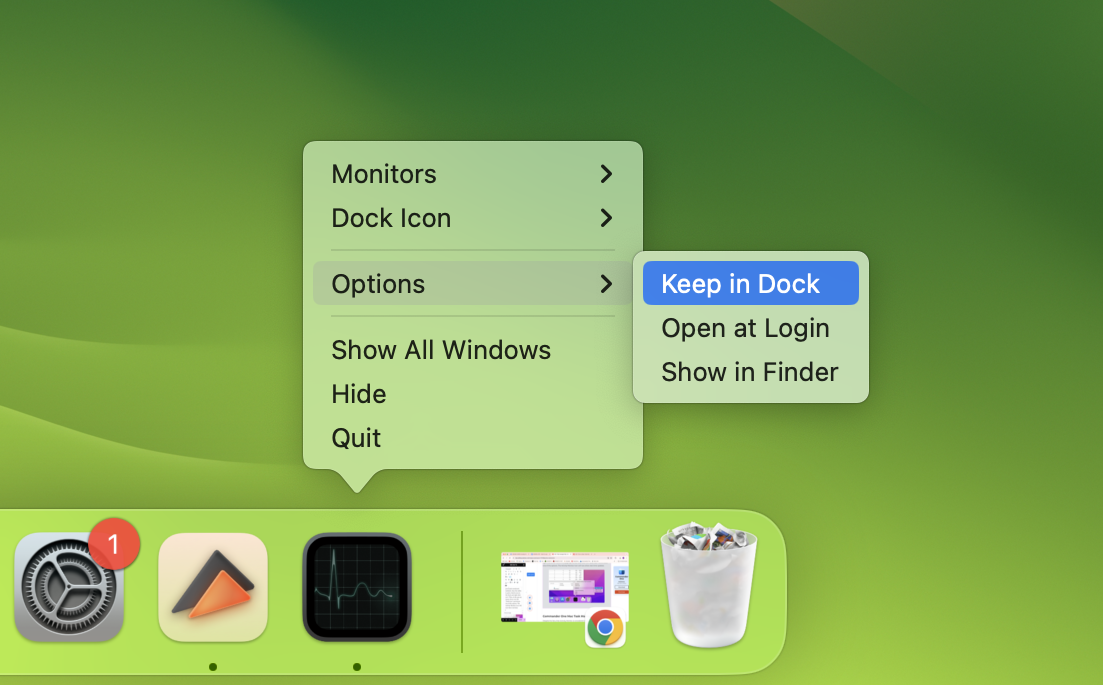 The Activity Monitor icon in the Dock