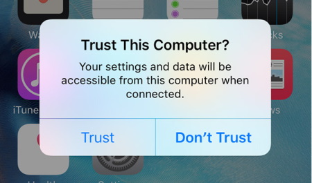 Click Trust on your iPhone