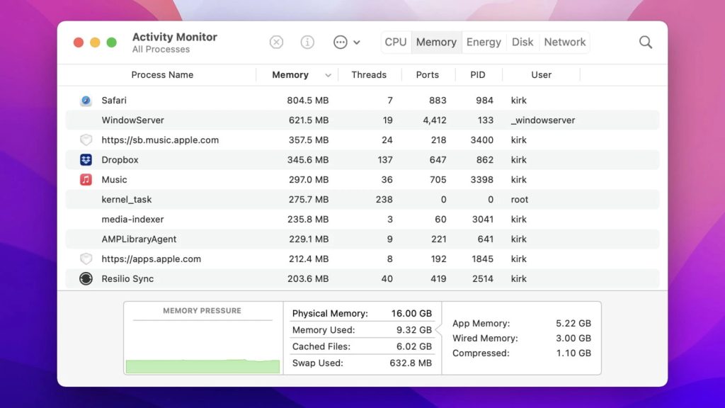 The Memory pane of the Activity Monitor application