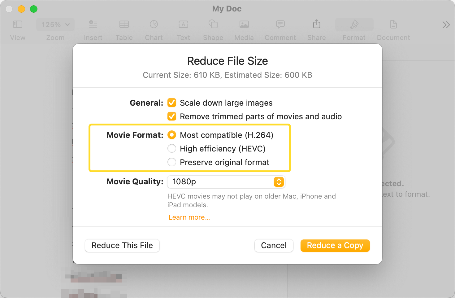 The Movie Format section of the Reduce File Size pop-up window is highlighted