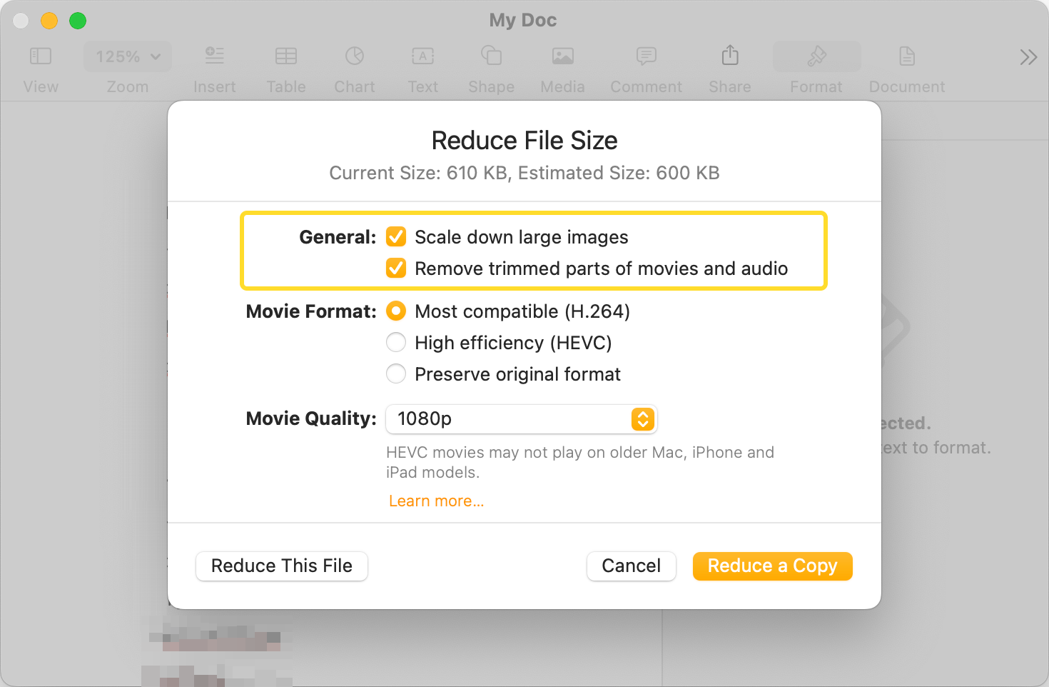 The Reduce File Size pop-up menu is shown