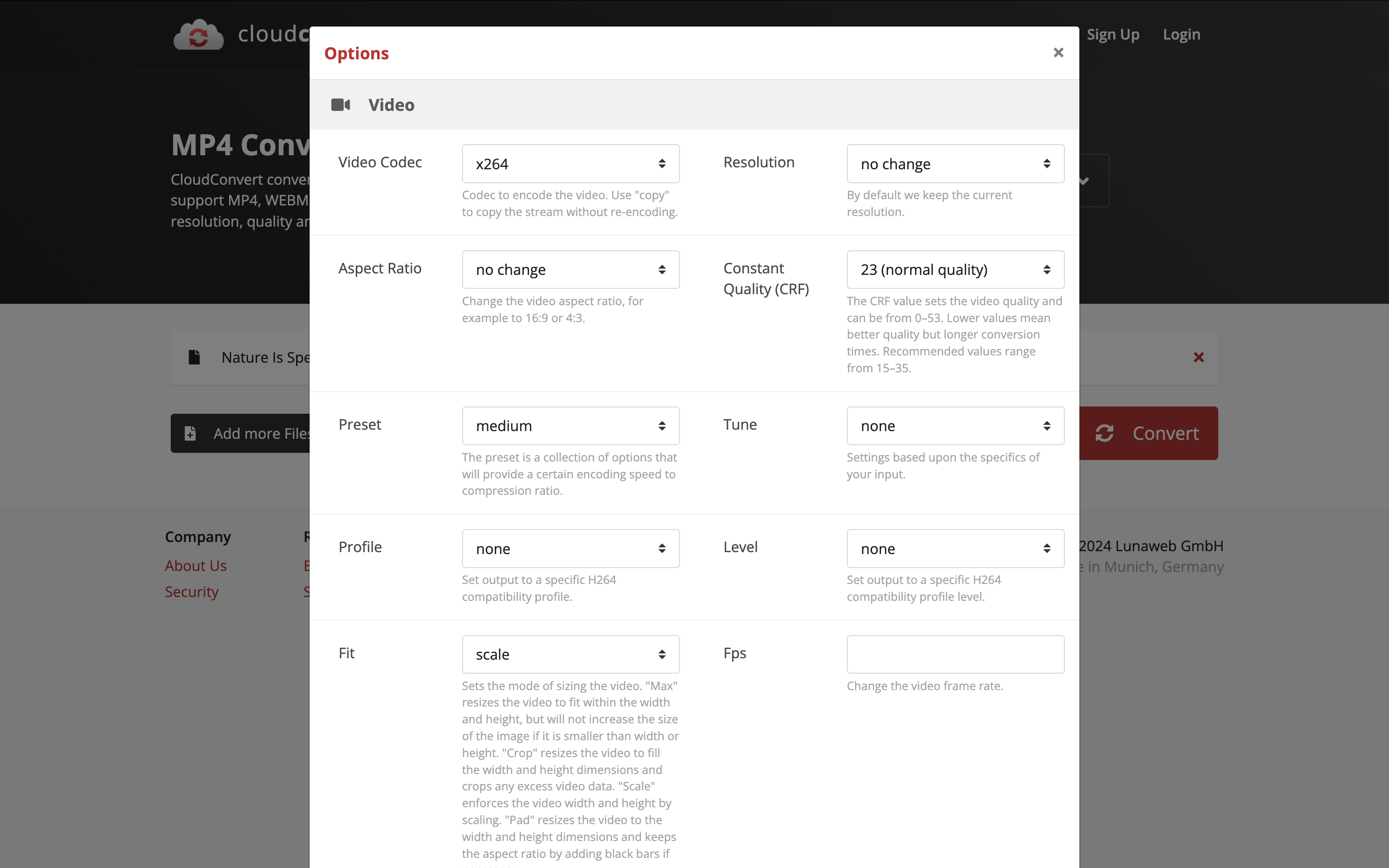 The pop-up window with conversion settings in the Cloudconvert is demonstrated