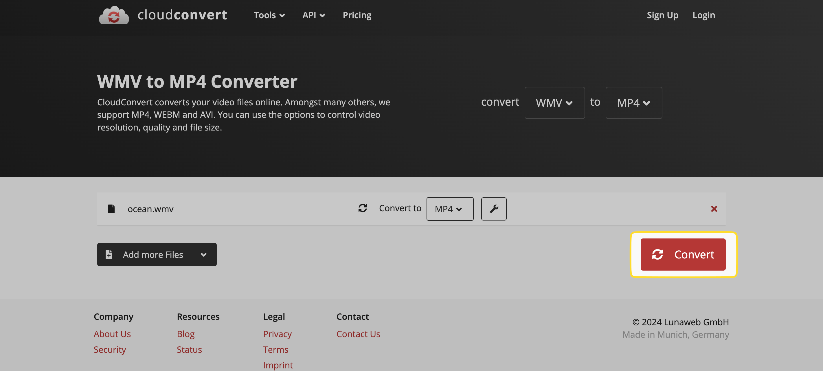 "Convert" button is shown