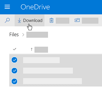 The Download button from the top menu or right-clicking in OneDrive