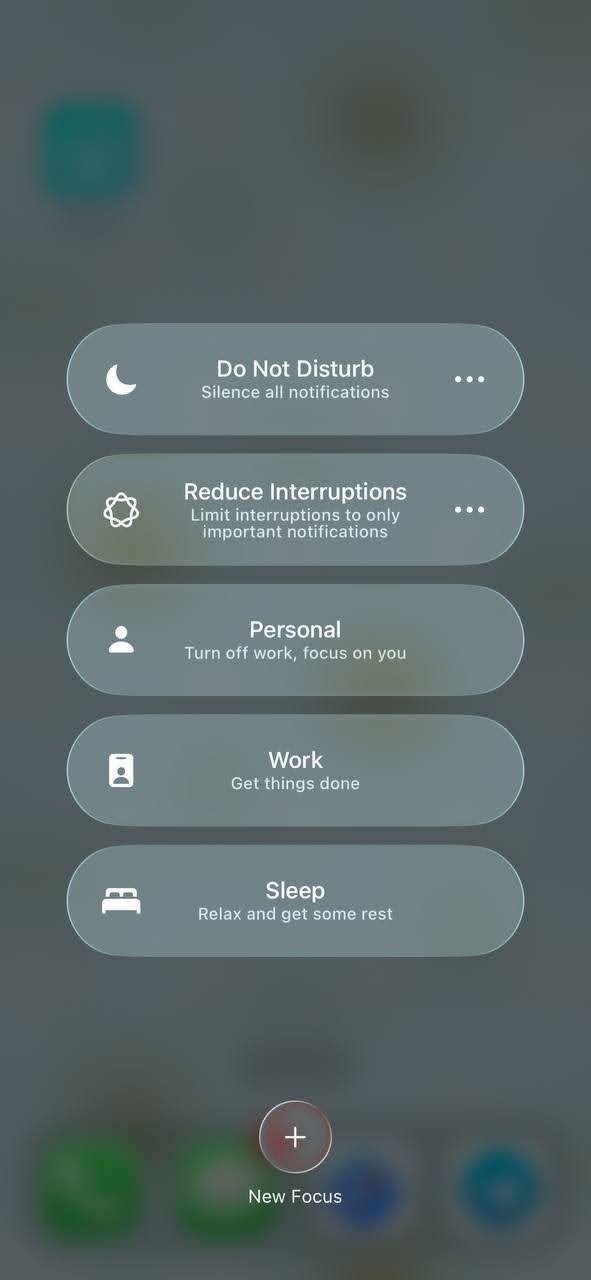 The Do Not Disturb option