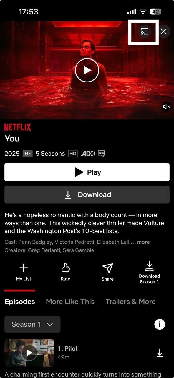 The Google Cast option in the app